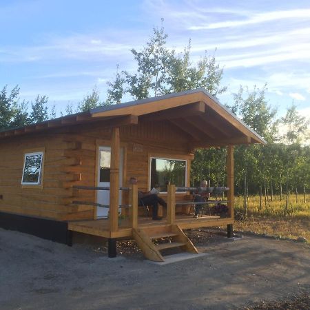 Oma'S And Opa'S Northern Lights Viewing Cabin Villa Whitehorse Buitenkant foto