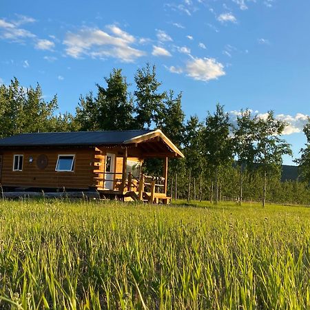 Oma'S And Opa'S Northern Lights Viewing Cabin Villa Whitehorse Buitenkant foto