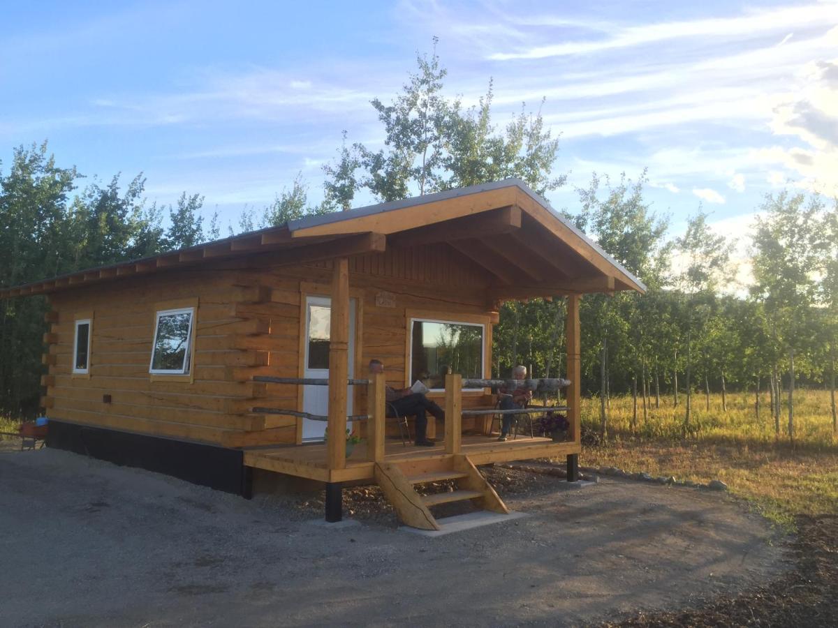 Oma'S And Opa'S Northern Lights Viewing Cabin Villa Whitehorse Buitenkant foto