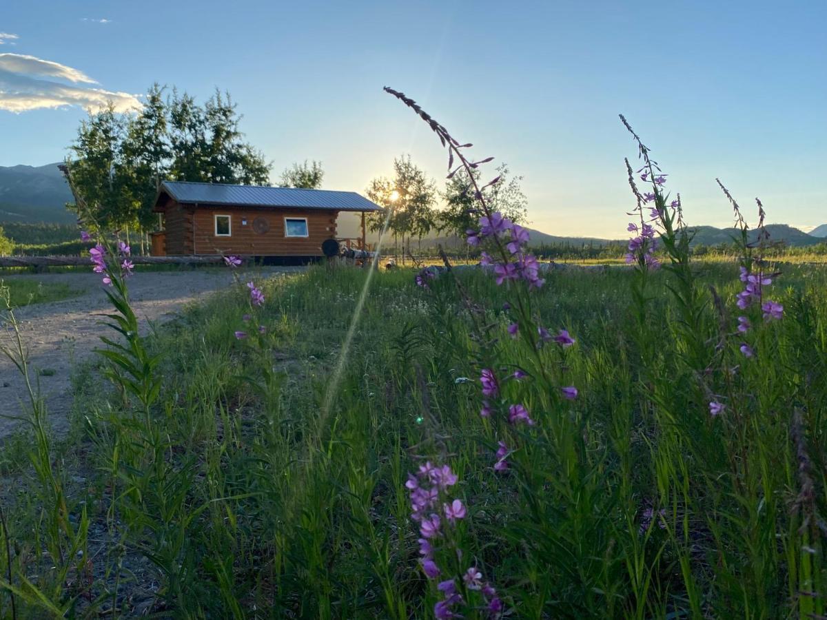 Oma'S And Opa'S Northern Lights Viewing Cabin Villa Whitehorse Buitenkant foto