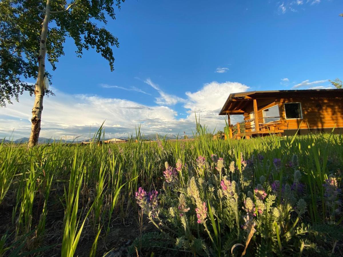 Oma'S And Opa'S Northern Lights Viewing Cabin Villa Whitehorse Buitenkant foto