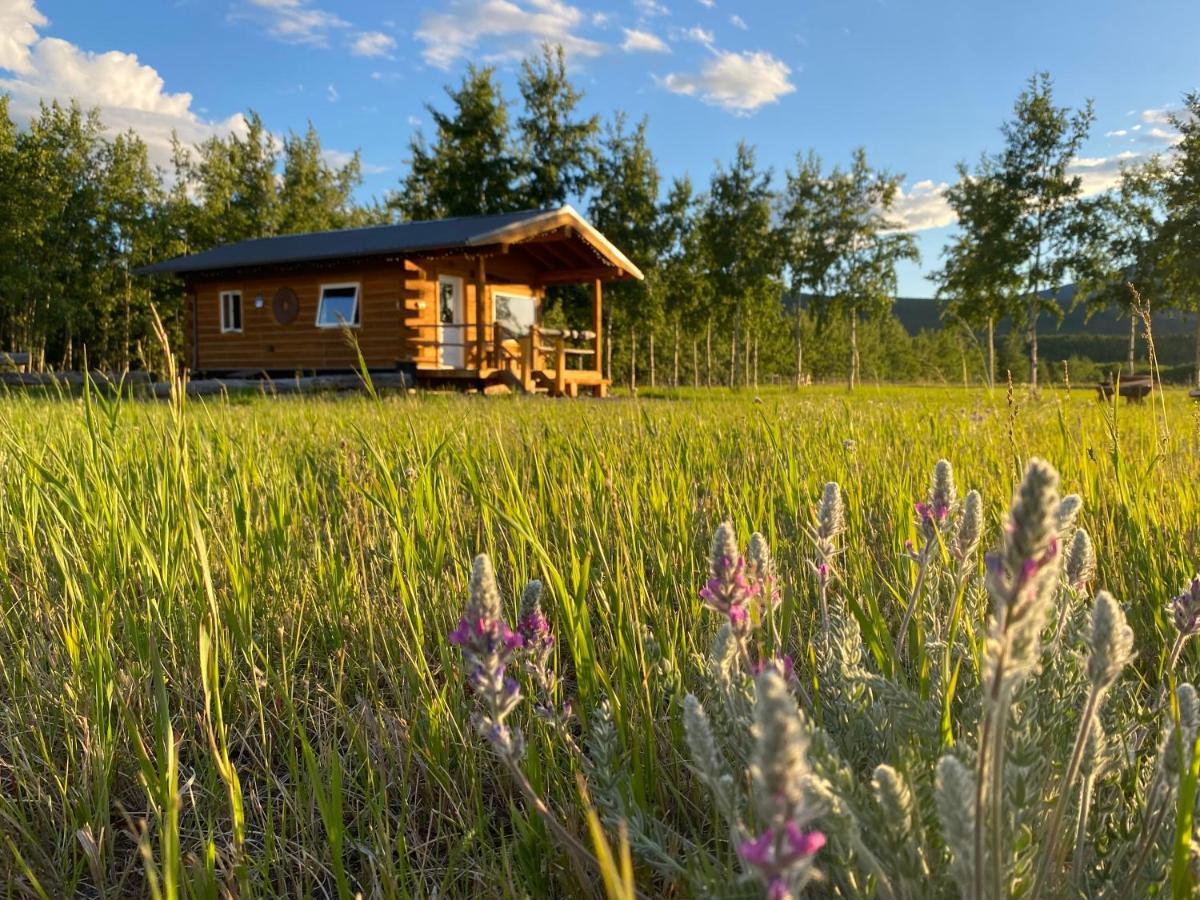 Oma'S And Opa'S Northern Lights Viewing Cabin Villa Whitehorse Buitenkant foto