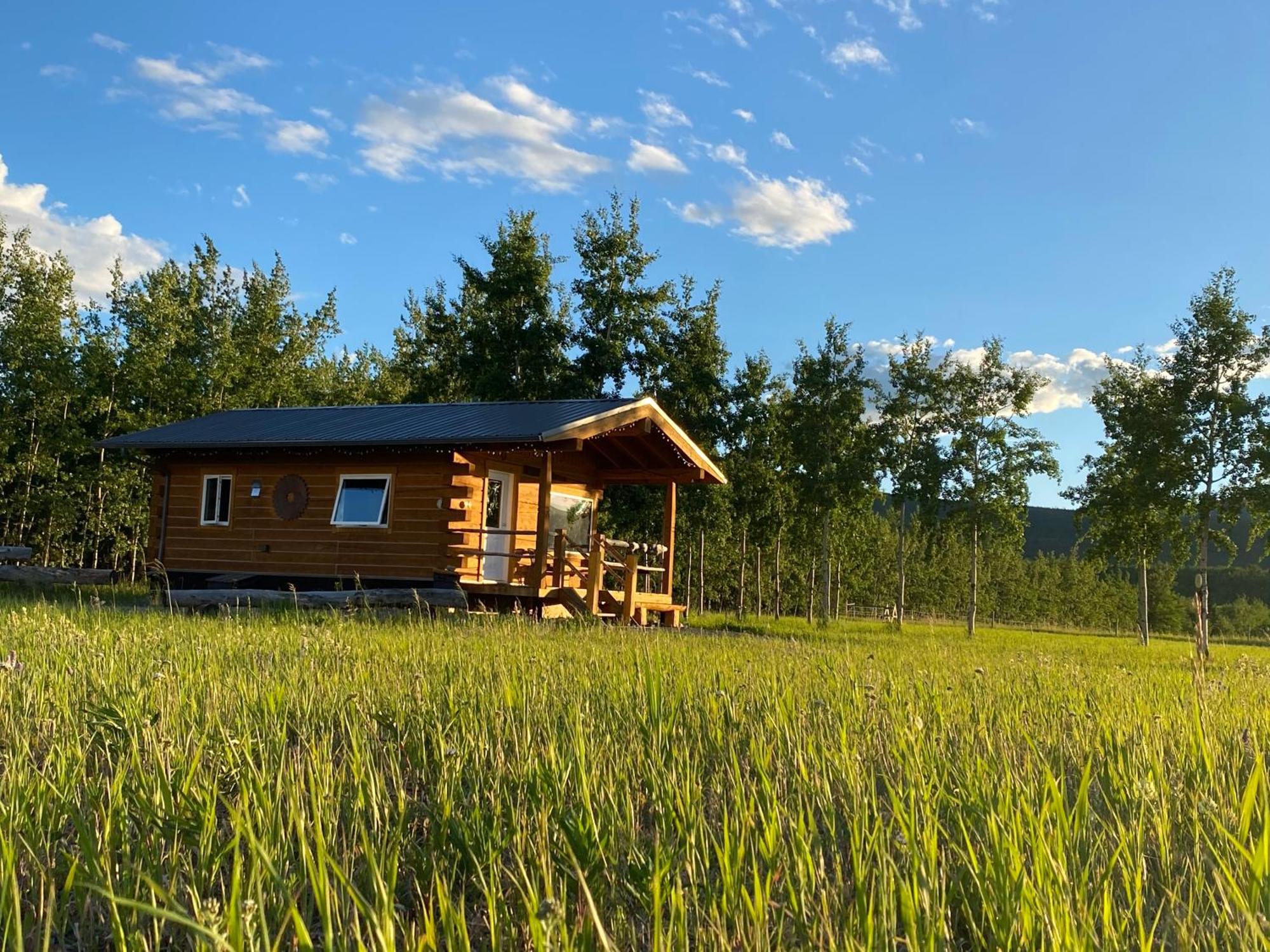 Oma'S And Opa'S Northern Lights Viewing Cabin Villa Whitehorse Buitenkant foto